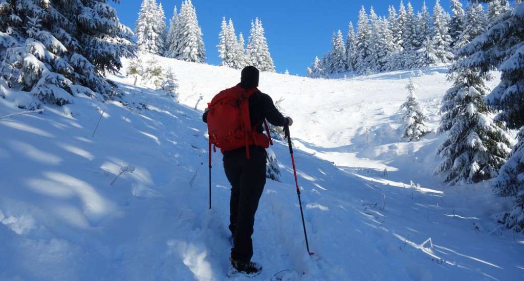 Tatry gopass