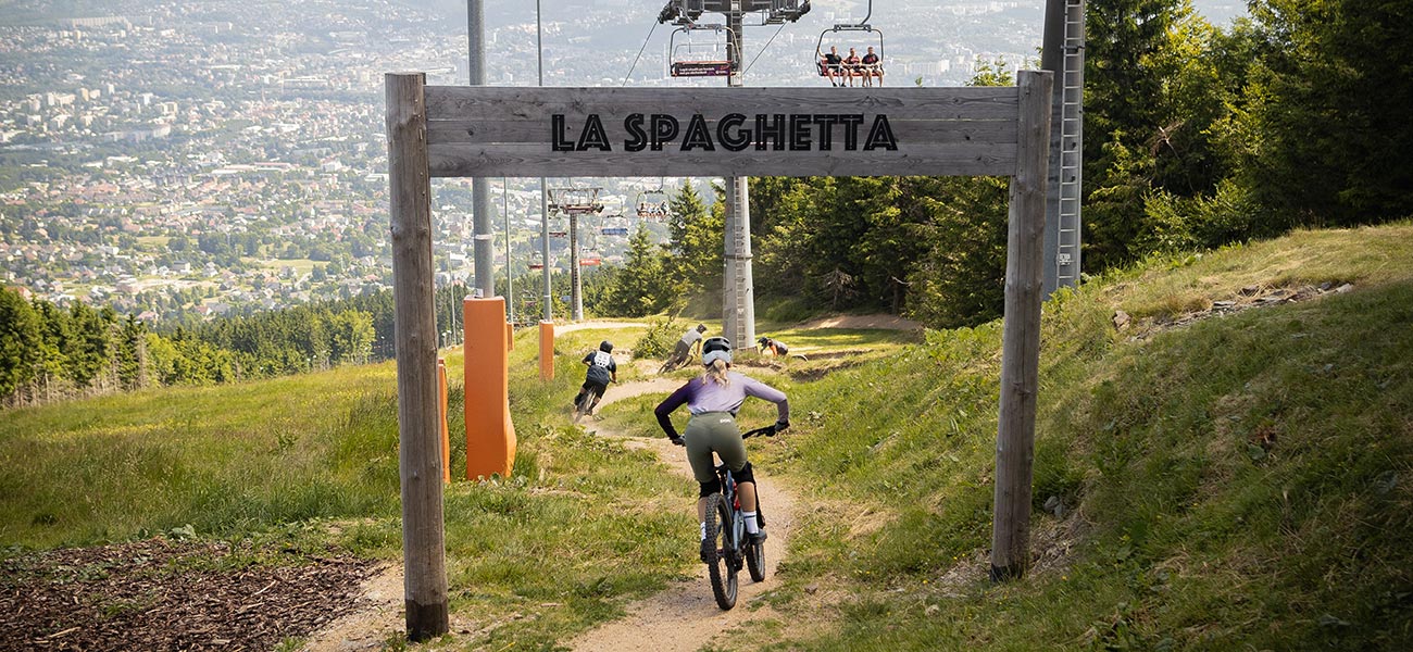 Czech bikepark and trails