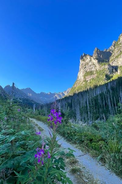 hiking in the High Tatras Bielovodska dolina