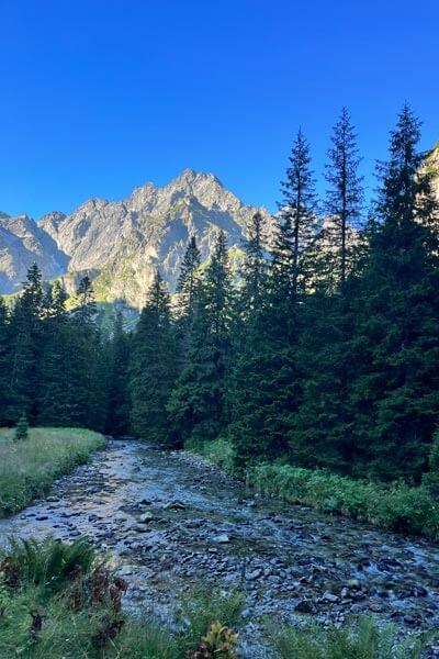 Wandern in der Hohen Tatra Bielovodska-Tal