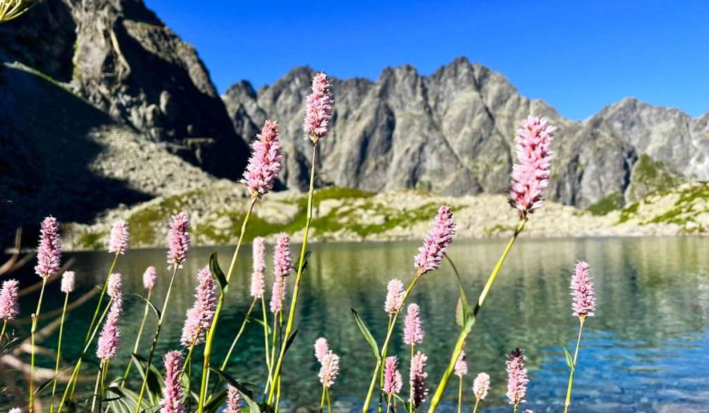 Litvorové pleso (Bergsee)