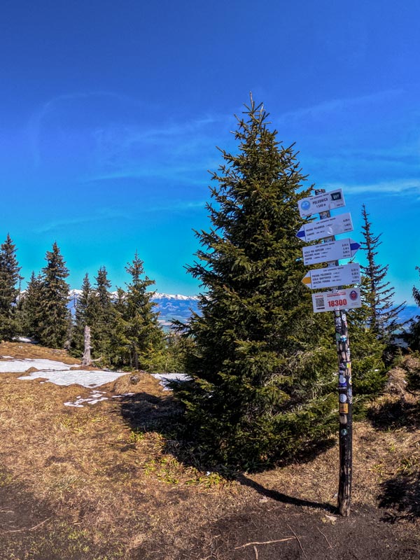 Touristische Schilder in der Natur