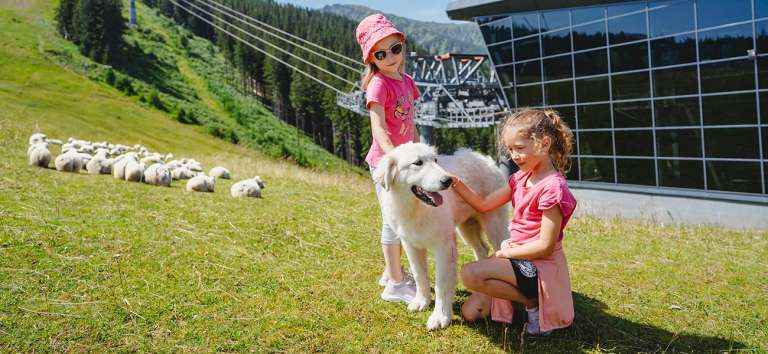 Eight tips on what to do in Jasná during summer