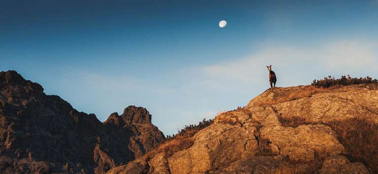 Tatra National Park and Low Tatras National Park: Slovakia’s treasures