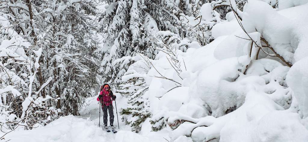 Žiarska dolina im Winter