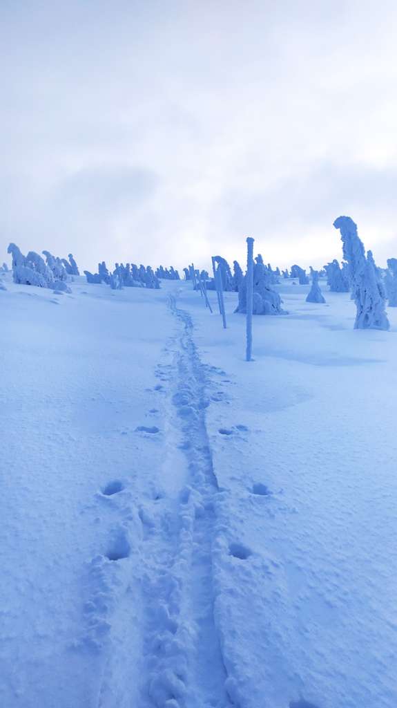 Krkonoše Mountains in winter