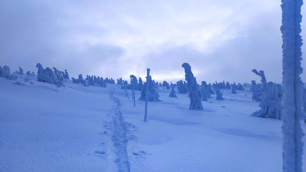 Views in the Krkonoše Mountains in winter