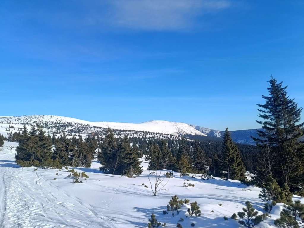 Views in the Krkonoše Mountains in winter