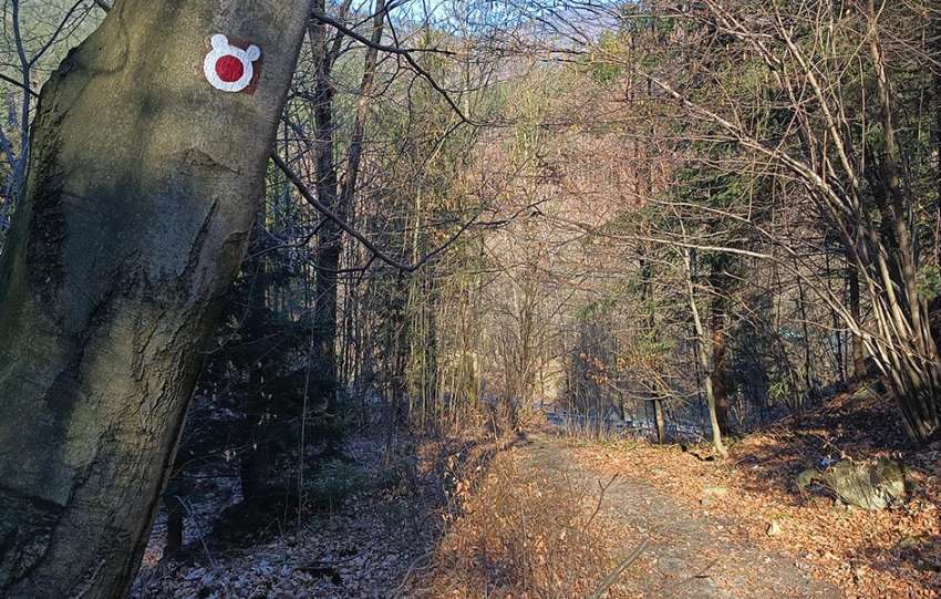 Stezka Po medvedích tlapkách