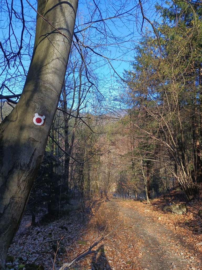 Chodník Po medvedích labkách Ostravice