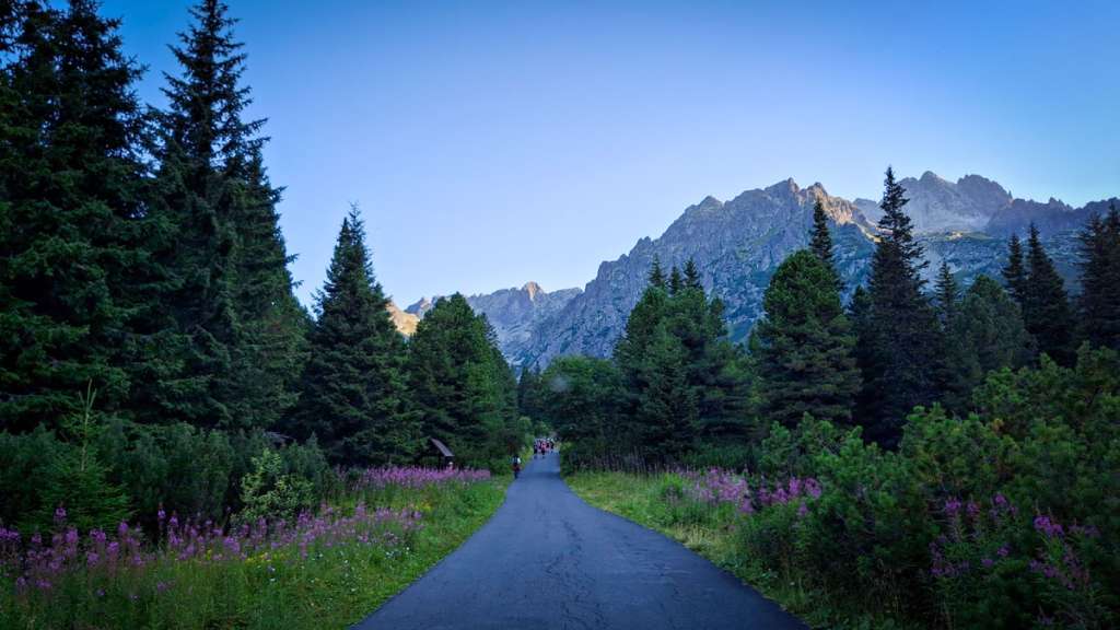 Trail to Štrbské pleso