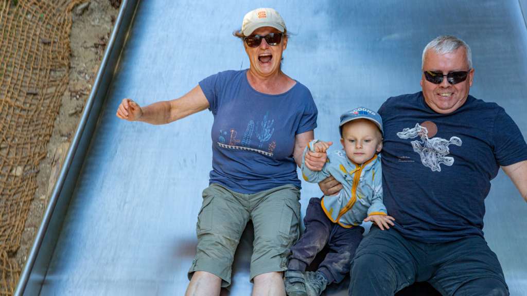 Happy family sliding down together