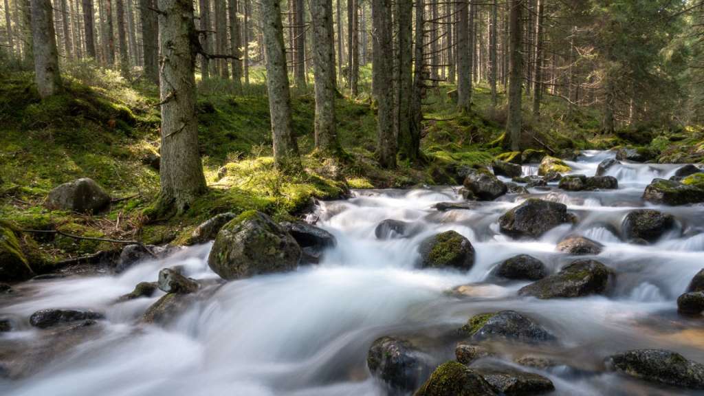 A stream flowing through the forest in the Low Tatras at Tri Vody